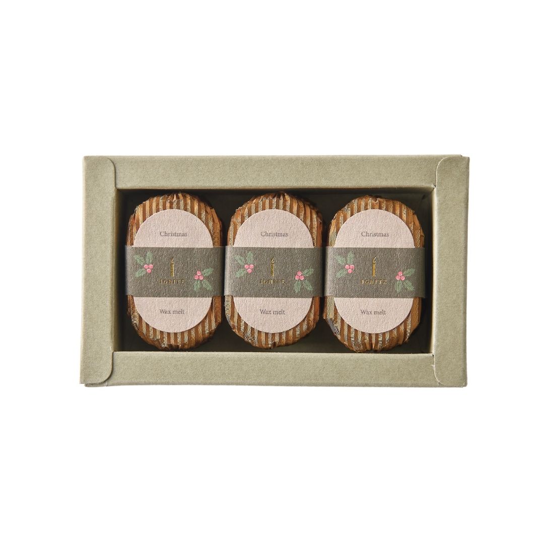 Christmas wax melts (Winter limited edition)