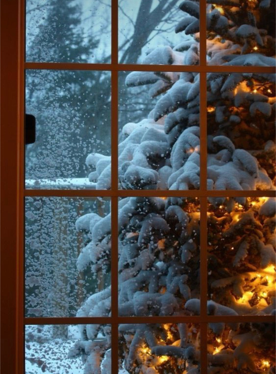 Christmas wax melts (Winter limited edition)