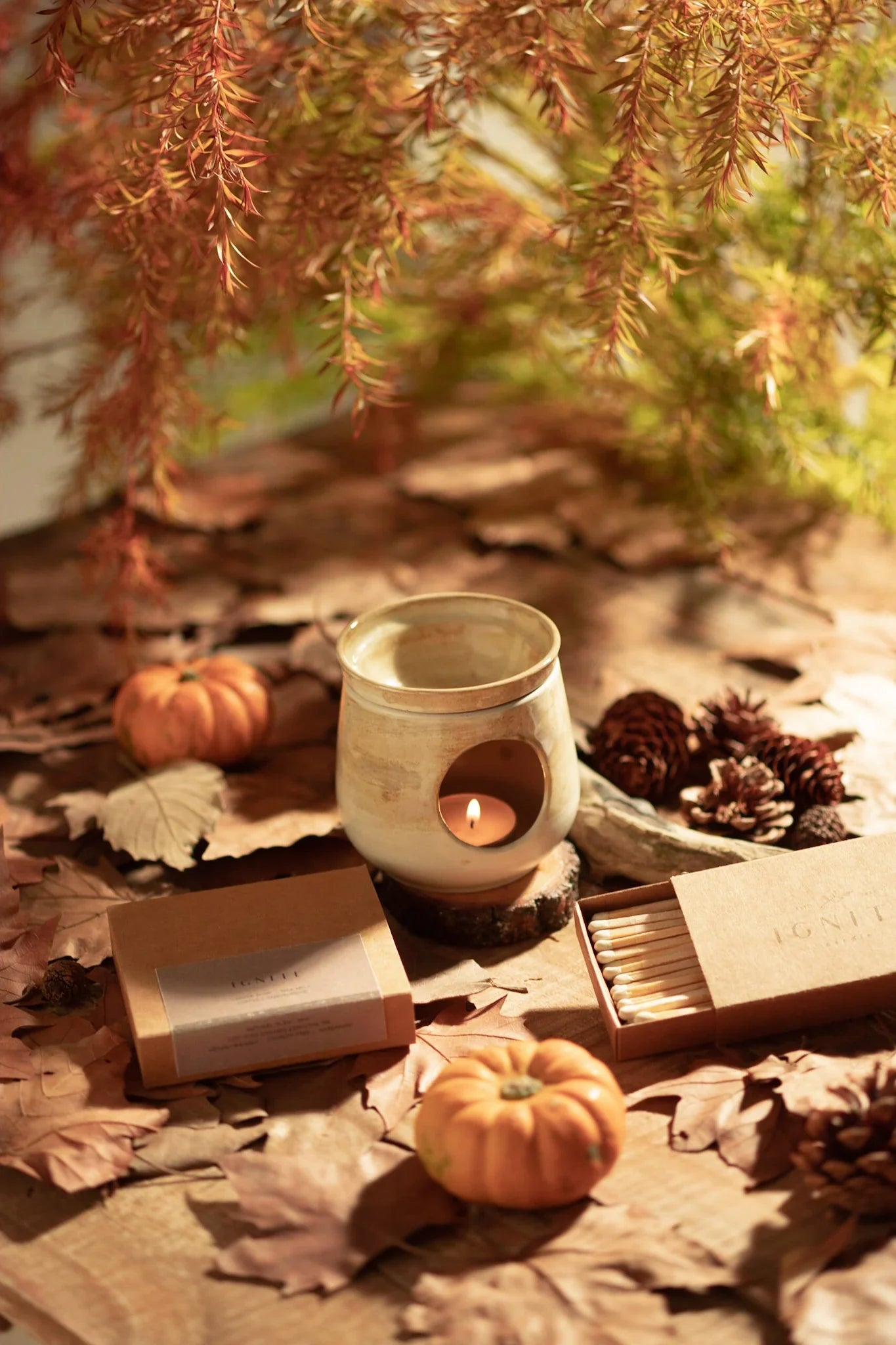 Autumn Collection
