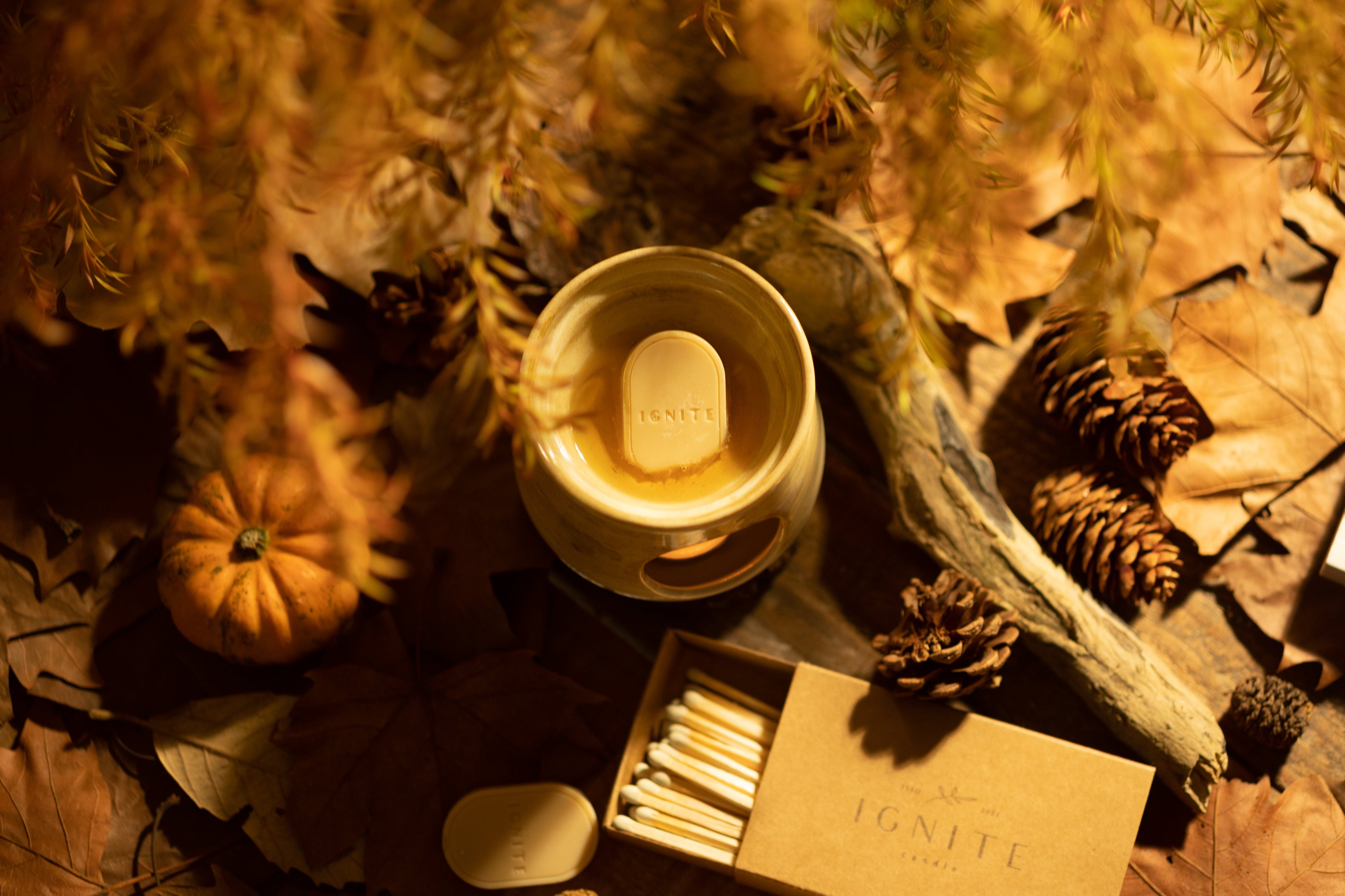 Autumn Limited Collection