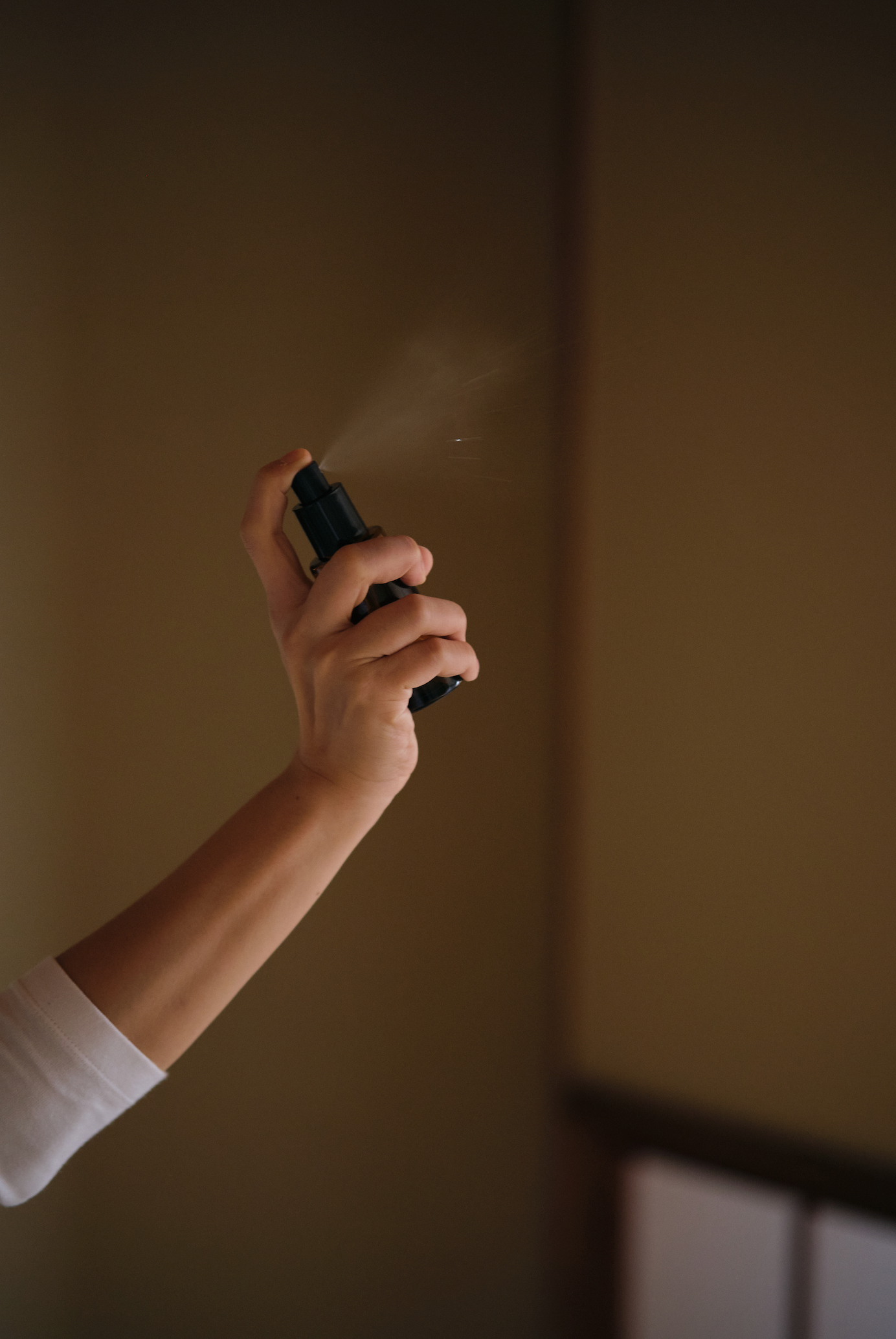 Bergamot Lavender Room Spray